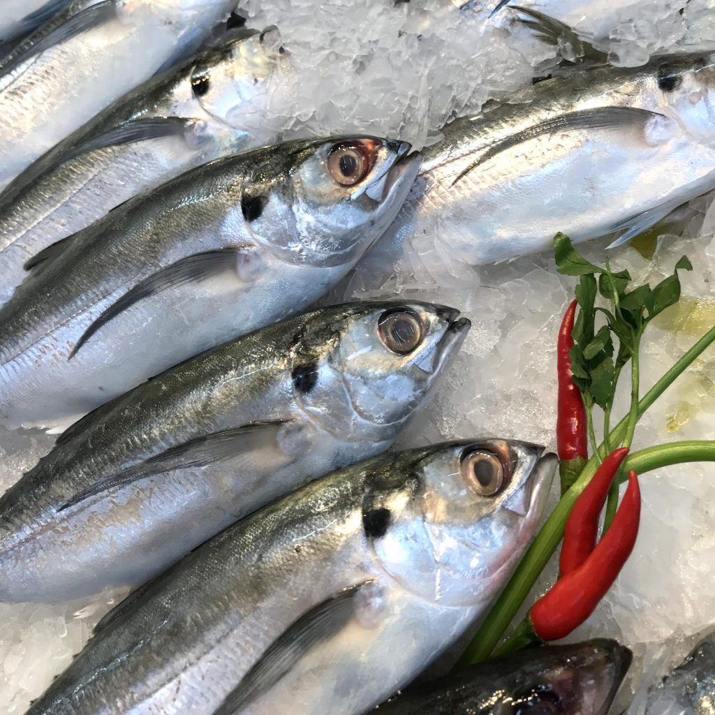 Cá Sòng - Đồ Ngon