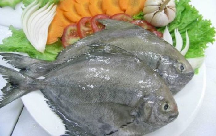 Loại cá này là đặc sản hàng đầu được rất nhiều gia đình Việt yêu thích