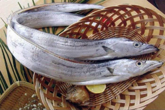 Với hàm lượng dinh dưỡng cao, loại cá mang đến rất nhiều công dụng đối với sức khỏe